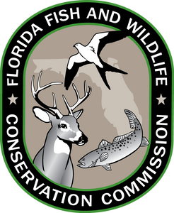 Get Your Valid Florida Fishing License
