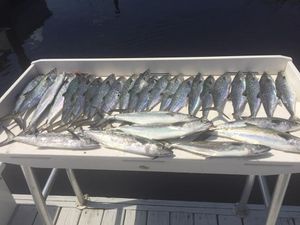 Perfect day fishing Carolina Beach waters
