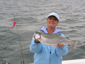 Walleye dance on Lake Erie