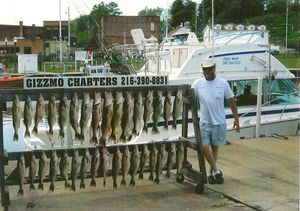 Walleye Fishing in Lake Erie