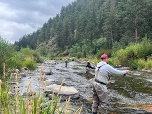 Fall Fly Fishing Heating Up on the Big Thompson