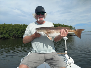 Crystal River Fishing Report