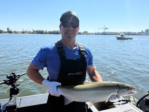 Summer Steelhead 
