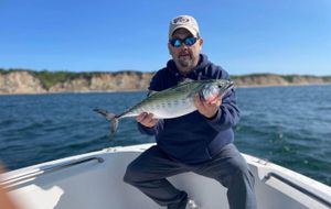 May Brings Hot Inshore Action to Narragansett – Stripers, Tautog, and More Biting Now