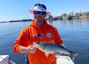 Point Judith & Block Island Bite Update: Striped Bass and Sea Bass Are Liners