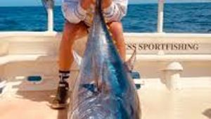 December Afternoon Dive: Buoyancy Control and Navigation Skills