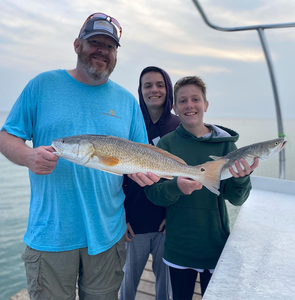January afternoon dive: buoyancy drills and skills work