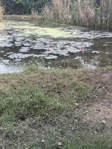 Calm Waters and Scenic Sights: A Party Boat Adventure