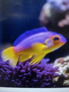 Blissful Waters of B Block: An Aquatic Adventure to Remember