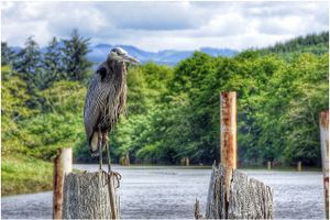 The Best Local Attractions in Astoria and Beyond