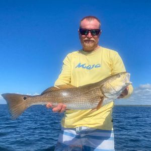 Top Rated Inshore Charter in Steinhatchee