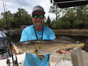 Steinhatchee Fishing for Sea Trout