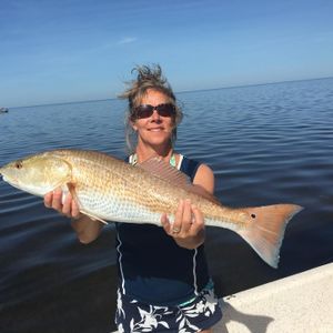 Hooked a Large Redfish in Steinhatchee
