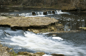 Things To Do In Steinhatchee 