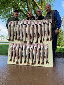 Bix Sluss Walleye fishing Lake Erie