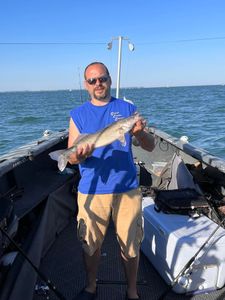 Fishing Lake Erie Walleye with Johnny Cutler