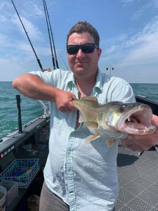 Walleye fishing charters in Lake Erie