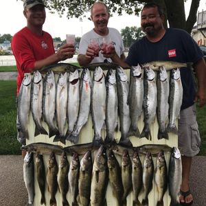 Lake Erie walleye fishing