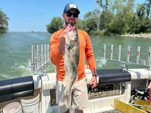 Deep Dive into the Walleye Update