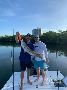 Naples Fishing Charters for You, Crevalle Jack