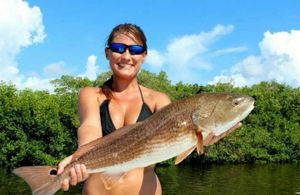 Exceptional Charter Fishing Naples Florida