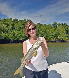 Explore Naples with Fishing Charter, Snook Fishing