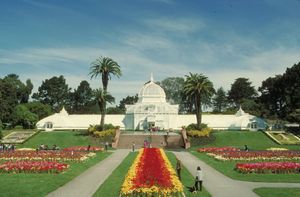 Beyond the Surf: The Ultimate San Francisco Travel Guide