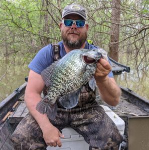 Crappie Fishing Trips on Grenada Lake