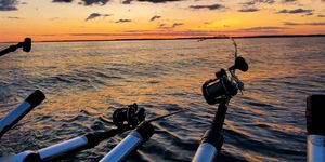 Michigan Fishing License