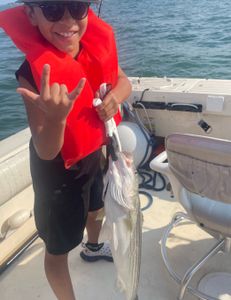 Bryan, Kelly, Sofia and Lucas’ charter
