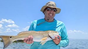 Where the Reds Are Biting and the Grouper Are Hungry 