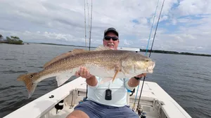 Big redfish In the shallows.
