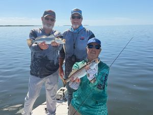 Another episode in the making.