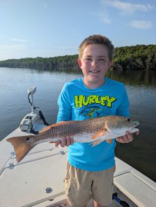 Summer Redfish Bite on an Outgoing Tide
