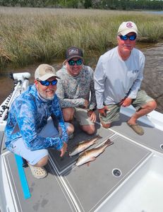 Summer Inshore Fishing: Perfect Weather & Varied Action in Milton, FL