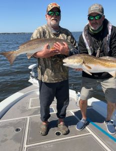 Bull Reds every cast!