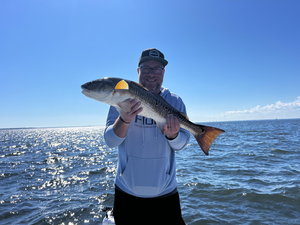 Redfish Roundup: An Exhilarating Inshore Adventure on Pensacola Bay