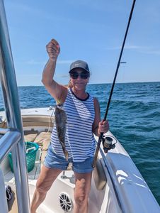 Cubjoe Key FL hooks black grouper