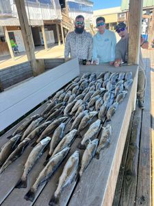 Speckled trout bite is strong right now