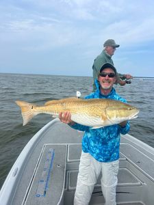 Big bull redfish action is heating up again