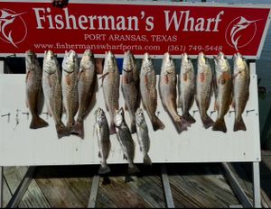 Rockport bay fishing 