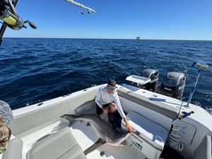 Offshore day with good company and steady fishing action