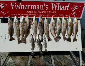 Solid redfish results on all artificial wade fishing trip