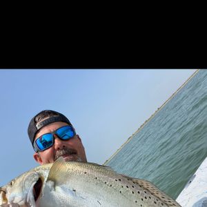 Rockport trout