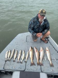Midday trip Port Aransas