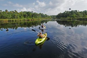 Top Things to Do in Homosassa