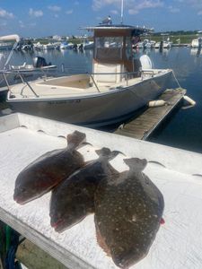 Quick fluke limit with quality fish!