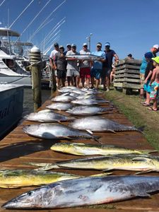 Yellowfin, Wahoo, and Mahi Mayhem Offshore”