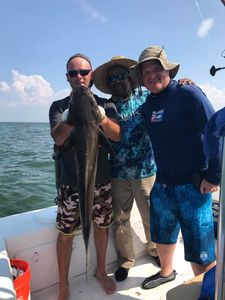 Trolling for Cobia in Virginia