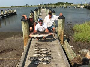 Top Cobia Fishing Charter in Virginia
